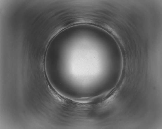 X0000071951137200607071203