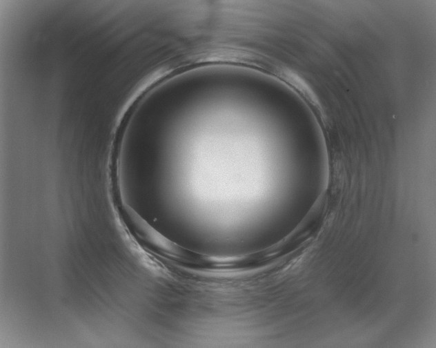 X0000071951138200607071203