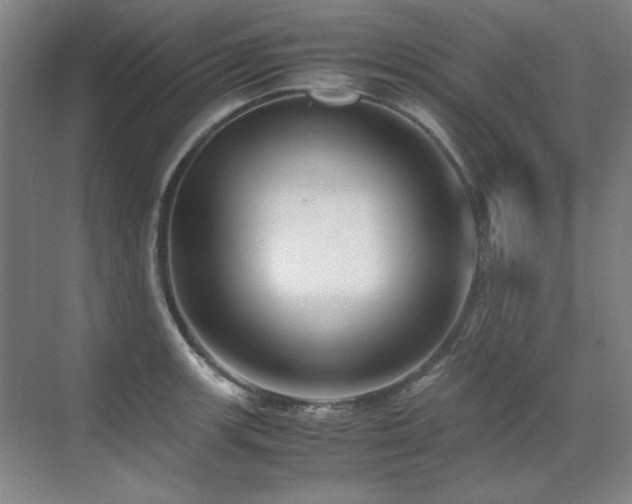 X0000071951139200607071203