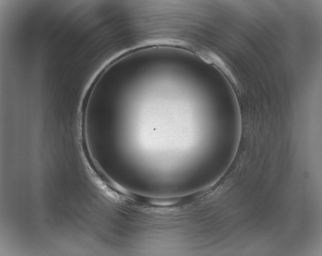 X0000071951140200607071203