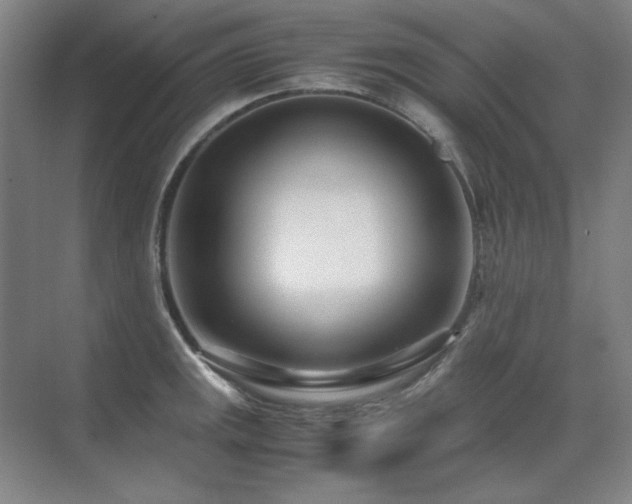 X0000071951141200607071203