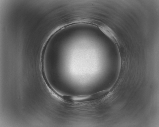 X0000071951143200607071203