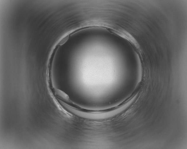 X0000071951144200607071203