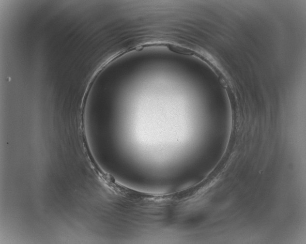 X0000071951145200607071203