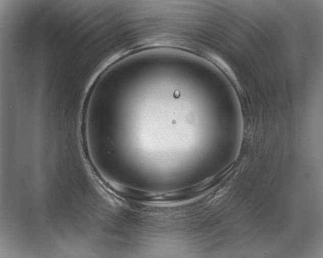 X0000071951146200607071203