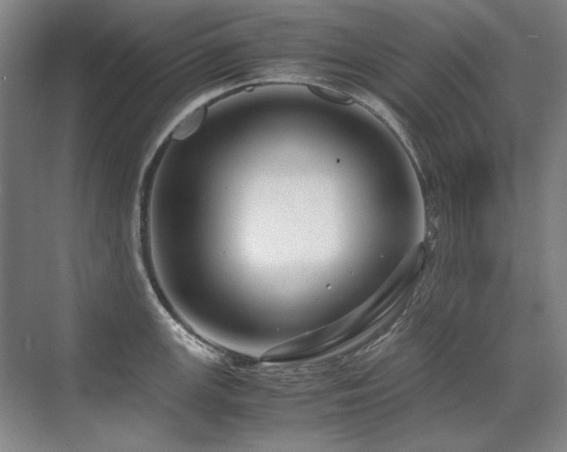 X0000071951147200607071203