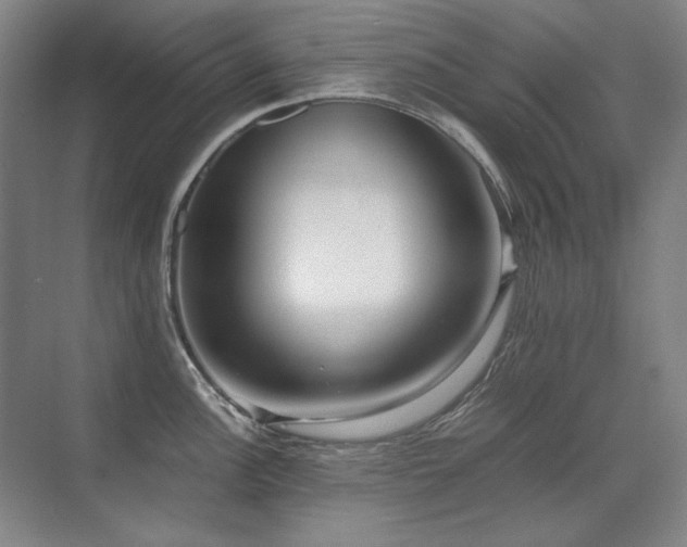 X0000071951148200607071203