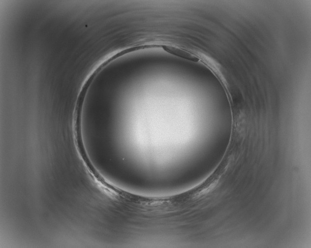 X0000071951149200607071203