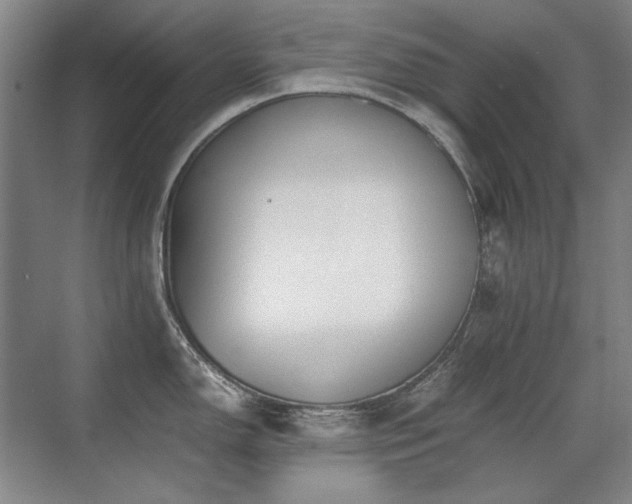 X0000071951150200607071203