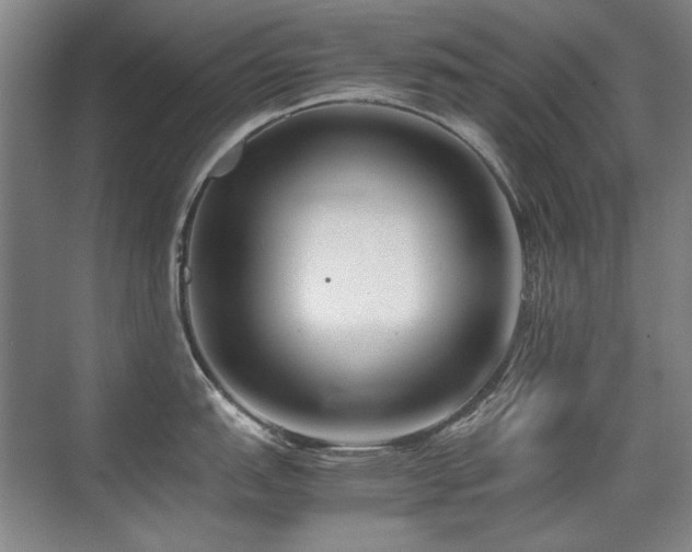 X0000071951151200607071203