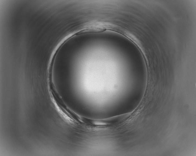 X0000071951152200607071203