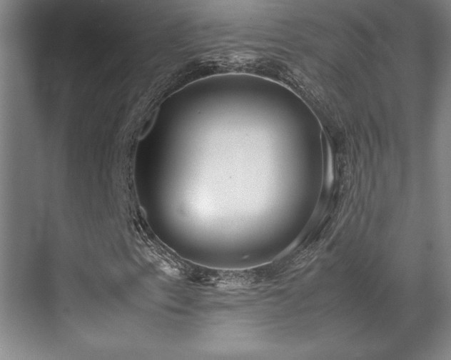 X0000071951153200607071202