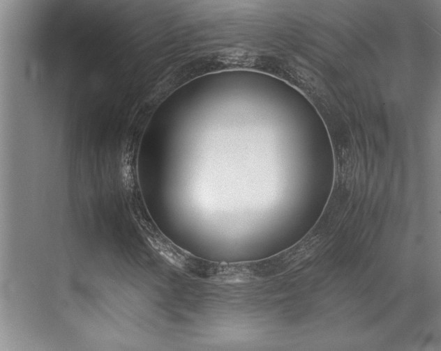 X0000071951154200607071202