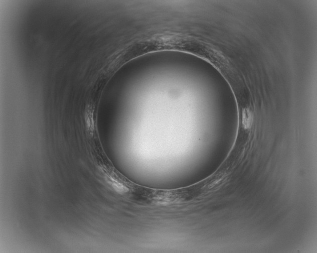 X0000071951155200607071202