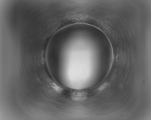 X0000071951156200607071202