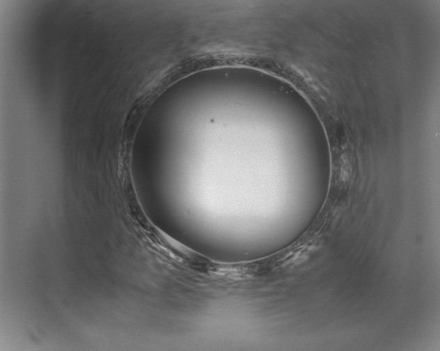 X0000071951157200607071202