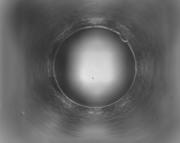 X0000071951158200607071202