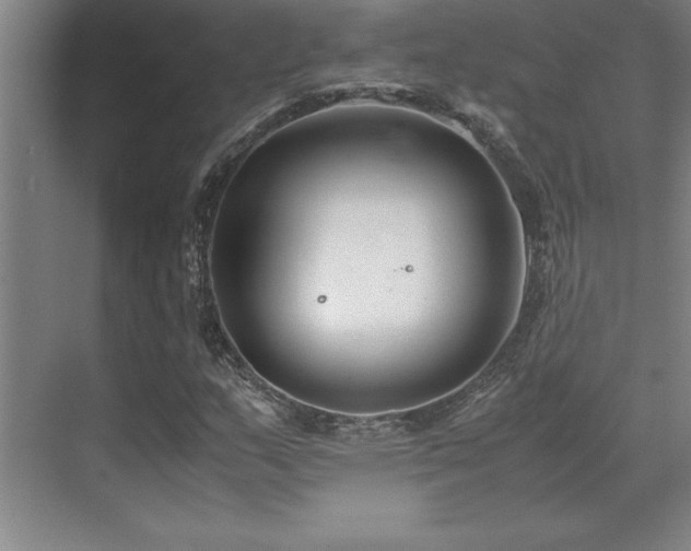 X0000071951159200607071202