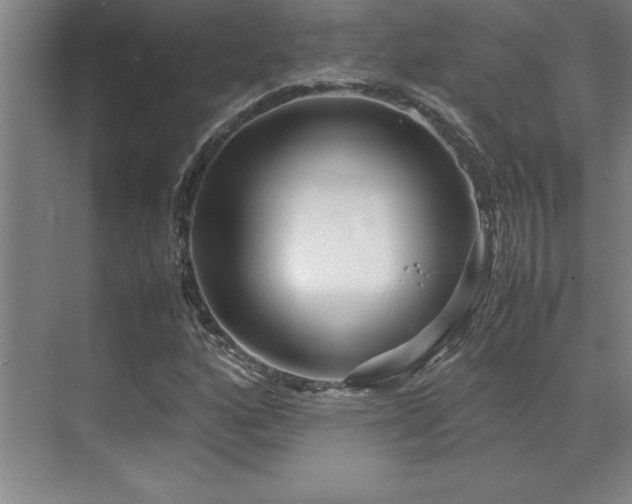 X0000071951160200607071202