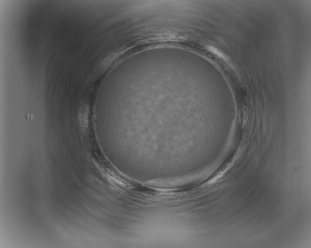 X0000071951161200607071202