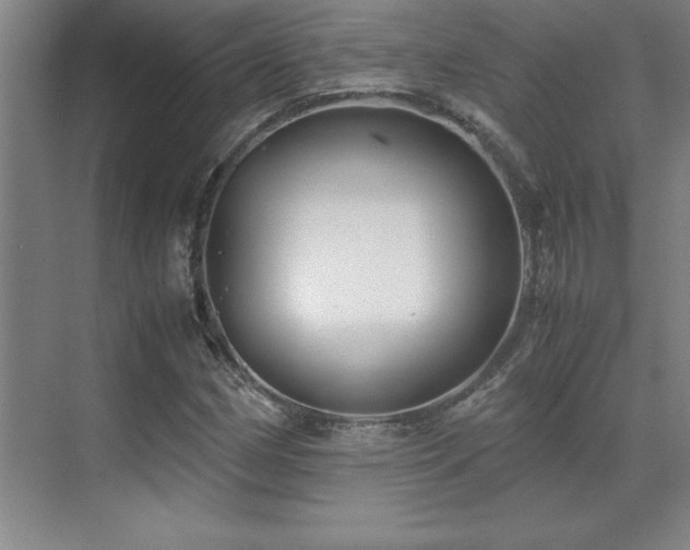 X0000071951162200607071202