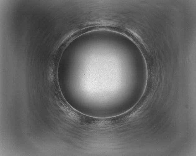 X0000071951163200607071202