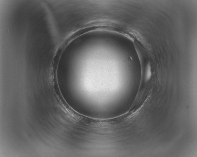 X0000071951164200607071202