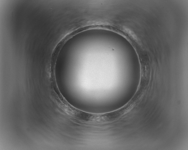 X0000071951165200607071202