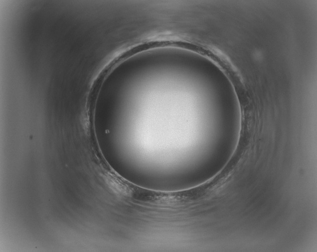 X0000071951167200607071202