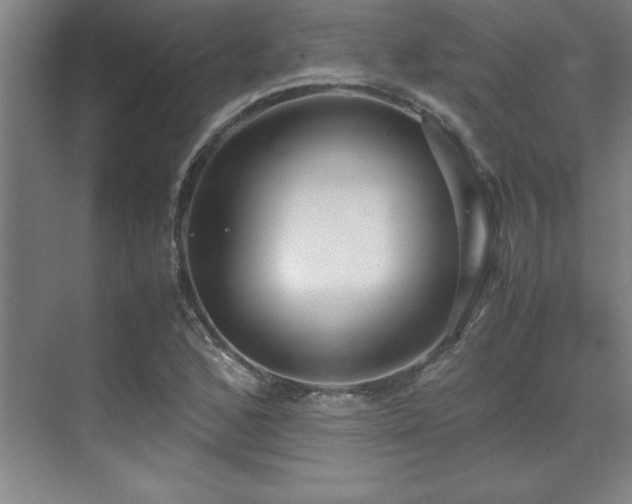 X0000071951168200607071202