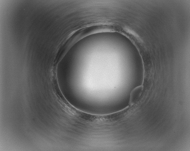 X0000071951169200607071202