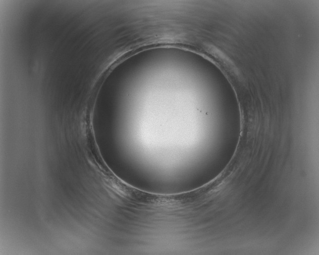 X0000071951170200607071202