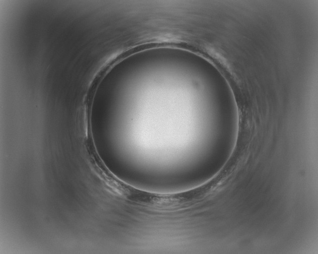 X0000071951171200607071202