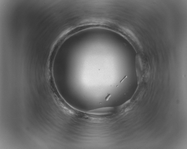 X0000071951172200607071202