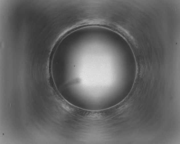 X0000071951174200607071202