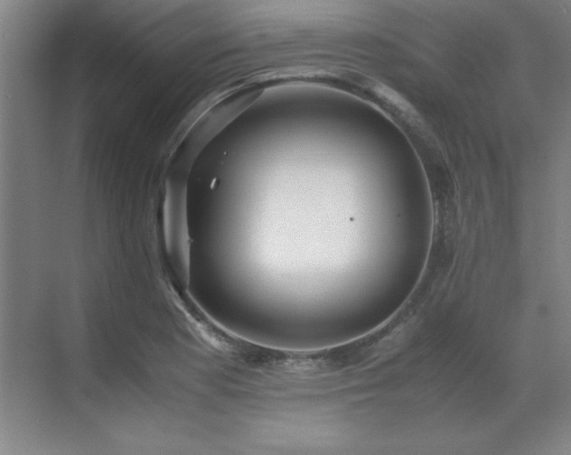 X0000071951177200607071202