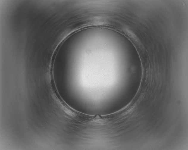 X0000071951178200607071202