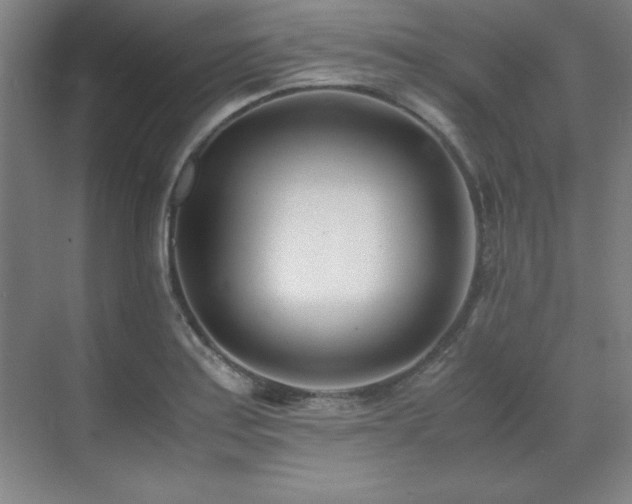 X0000071951179200607071202