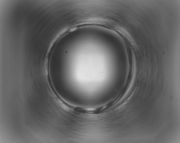 X0000071951180200607071202