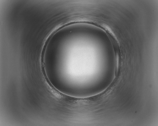 X0000071951181200607071202