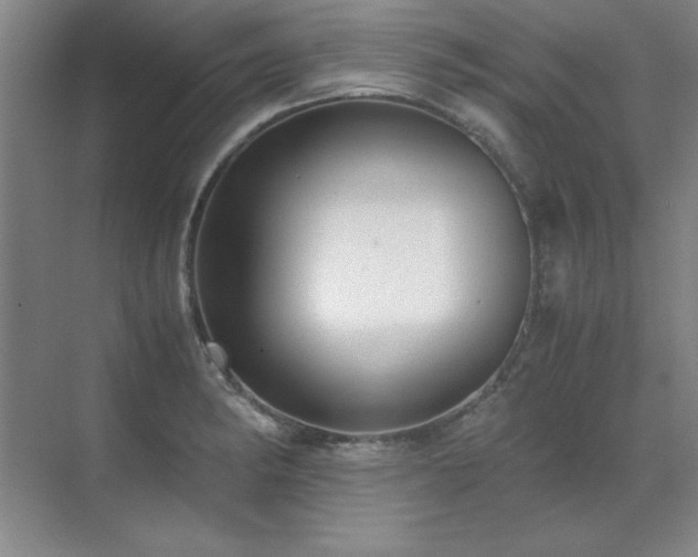 X0000071951182200607071202