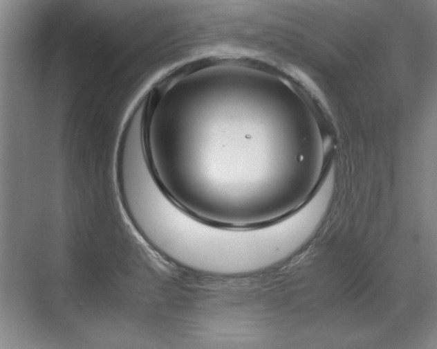 X0000071951183200607071202