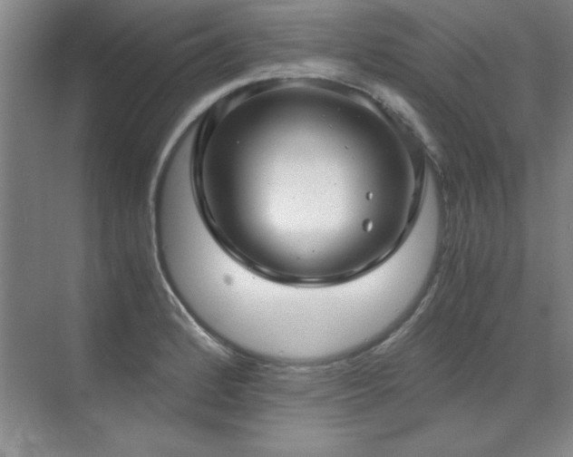 X0000071951184200607071202