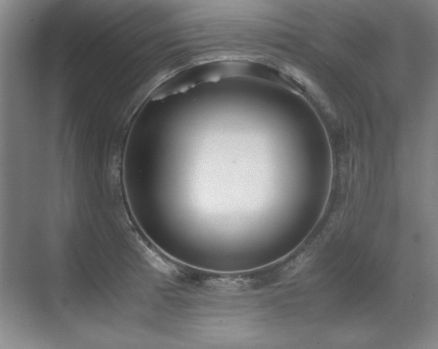 X0000071951185200607071202