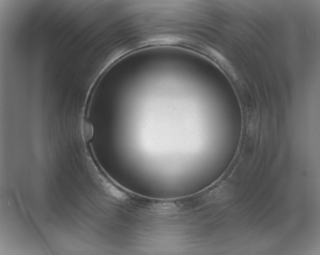 X0000071951186200607071202