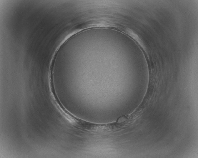 X0000071951187200607071202