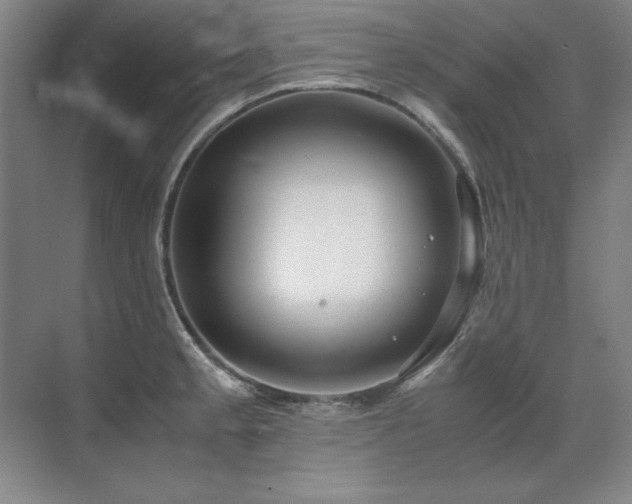 X0000071951189200607071202