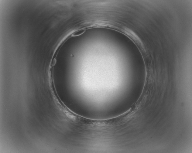 X0000071951190200607071202