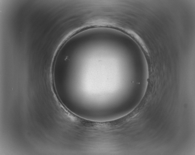 X0000071951191200607071202