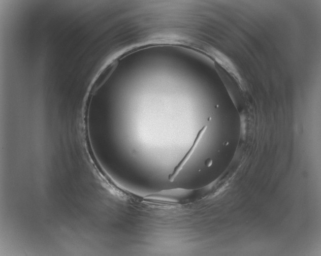 X0000071951192200607071202